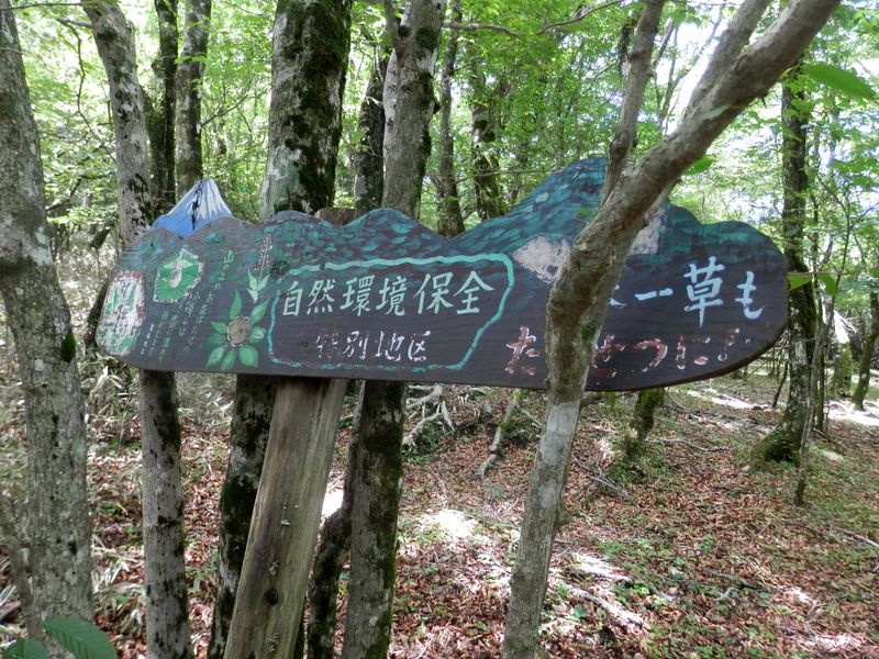 このような標識も、ほとんど朽ちてしまったのか