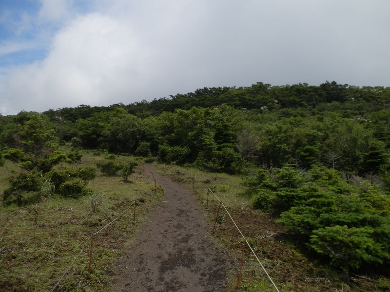 砂礫地より、大洞山を振り返る