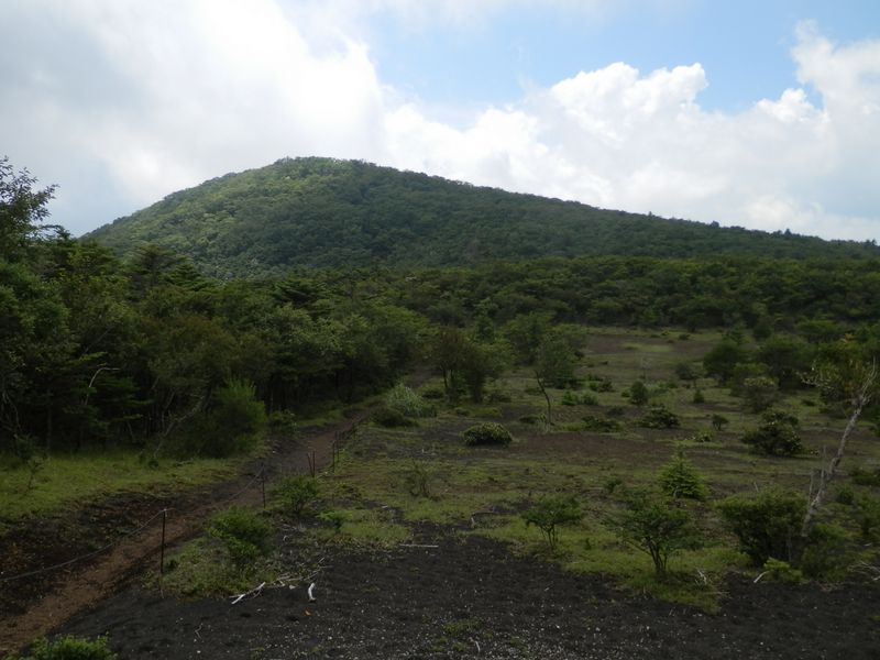アザミ平の砂礫地より、行く手の畑尾山を望む