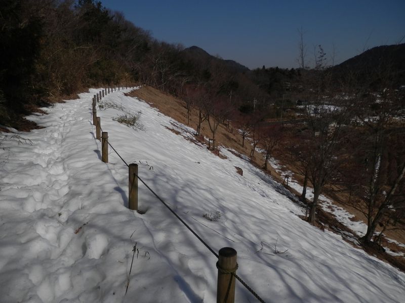 「森の展望台」から鳥居原園地に通じる道