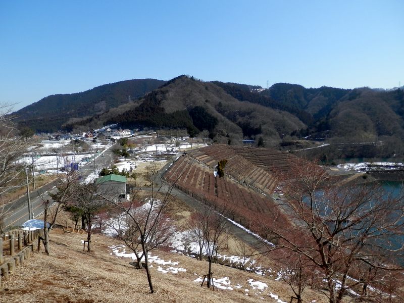 鳥居原園地を俯瞰する