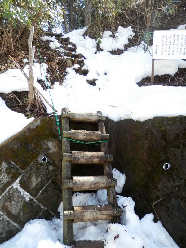 南山遊歩道は、まずこのハシゴから