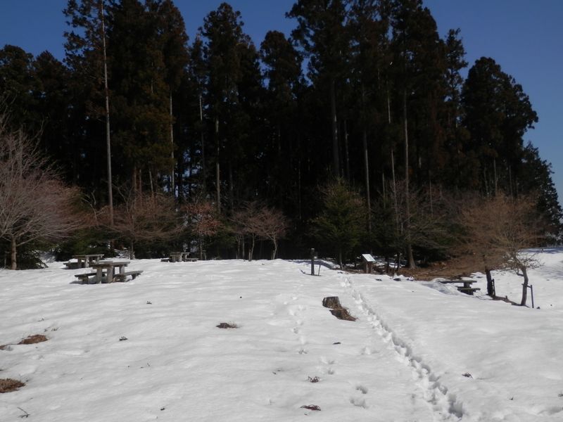 権現平は風が遮られて暖かかった
