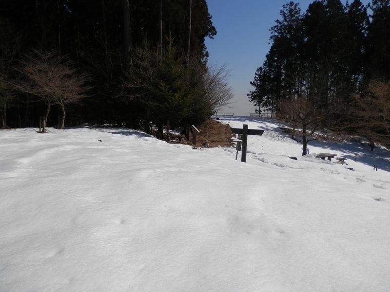 南山 -- 権現平展望台はすぐそこ