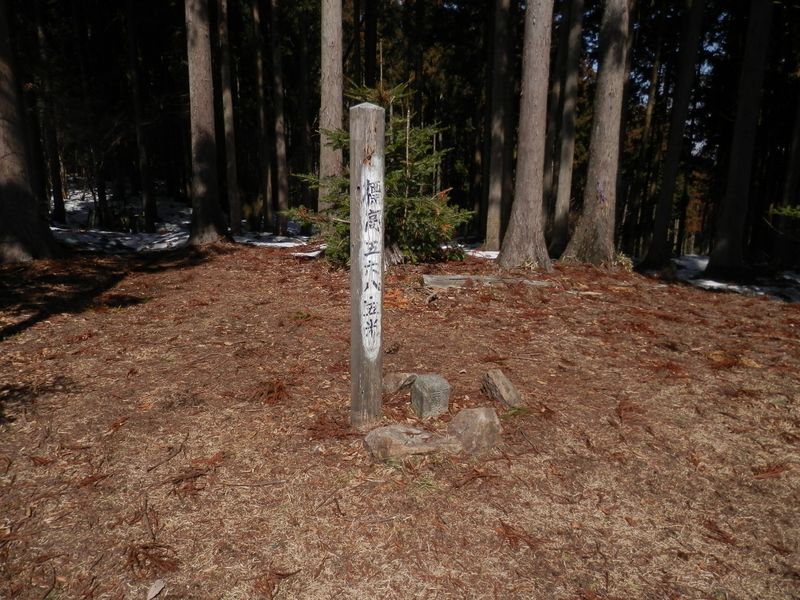 権現平の三等三角点