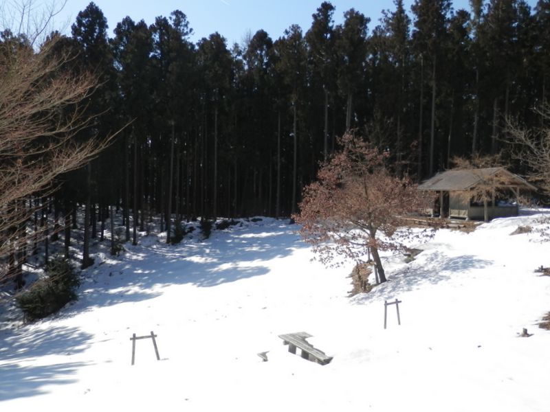 権現平のくぼ地