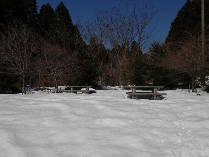 次回は新緑か紅葉の季節に来てみたい