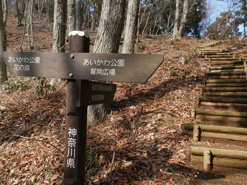 花の森に行くか、冒険広場に行くか？