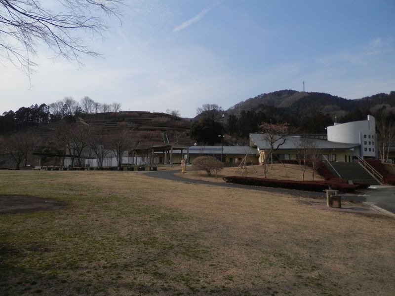 あいかわ公園風の丘