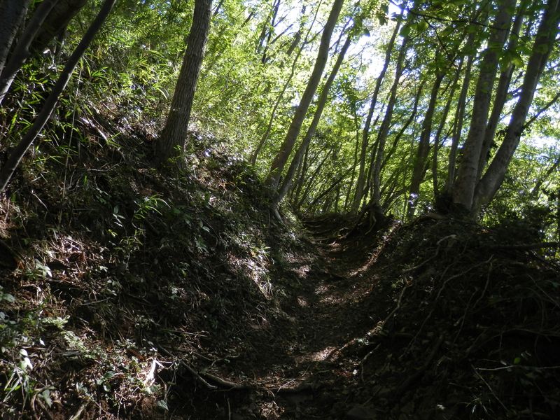 こんな道がジグザグに続く