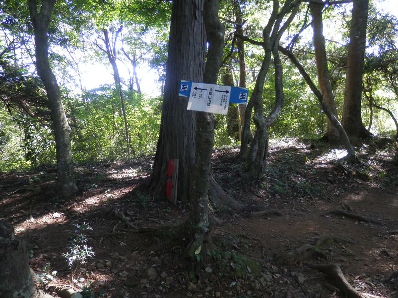 金剛山頂に到着