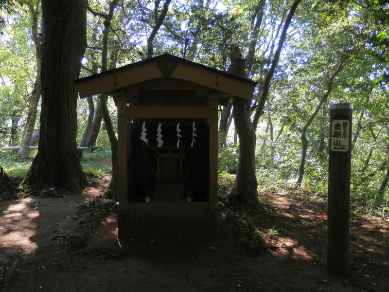 金剛力士像みたい（？）な幹