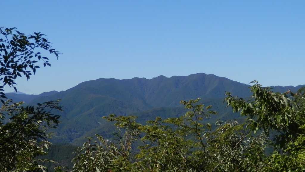 笹尾根の東部を望む