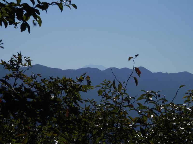 八坂山より、富士山頂を望む