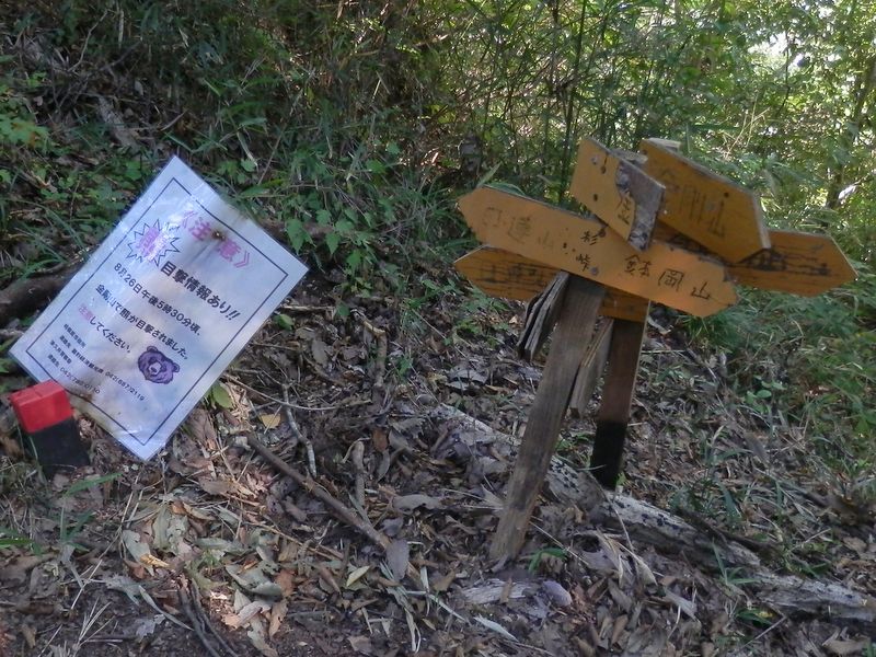 杉峠の道標は腕木が多い