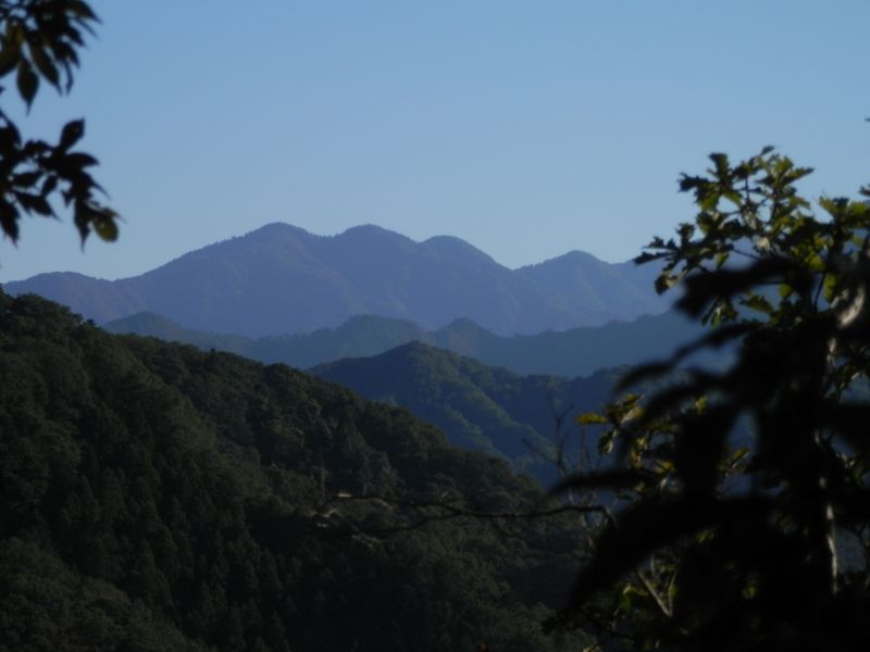 丹沢三峰を望む