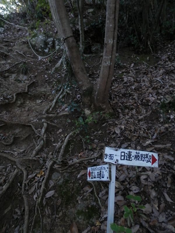 急峻なロープ場から、幅広で水平の道に下り立つ