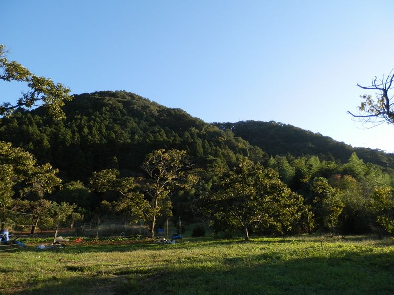 宝山は、ちょっと古墳に似ている