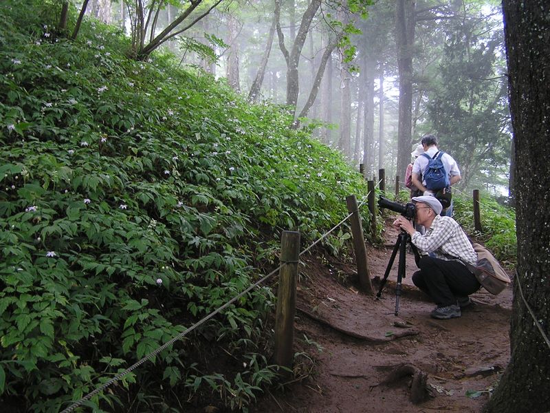 御岳平から大岳山 -- デジタル一眼と三脚を持ったカメラマンが多かった