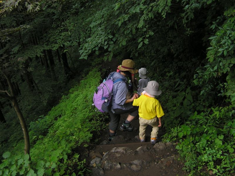 御岳平から大岳山 -- 七代の滝に向かう「長い急な坂」