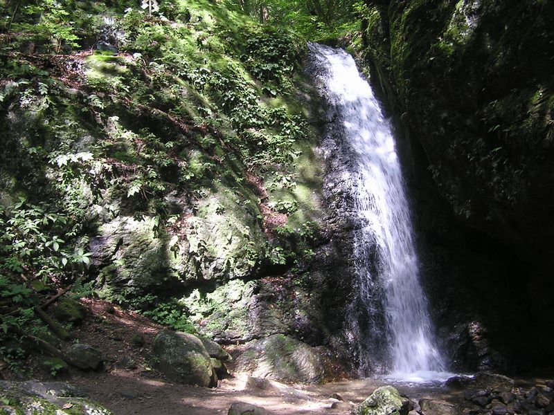 御岳平から大岳山 -- 綾広の滝（あやひろのたき）