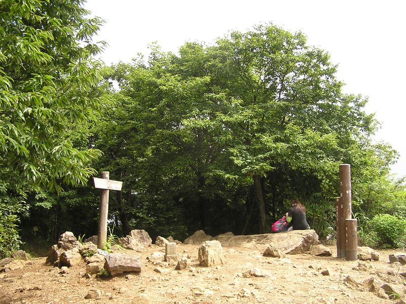 この日展望の利かない大岳山頂に人は少なかった