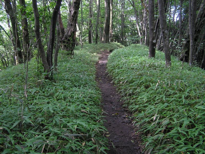 御岳平から大岳山 -- 山頂直下の岩稜を抜けると、気持ちよく歩ける道が続いている