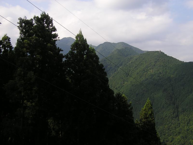 御岳平から大岳山 -- 本仁田山
