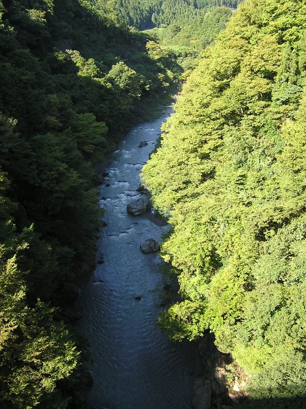 御岳山・日の出山 -- 万世橋から見下ろす多摩川