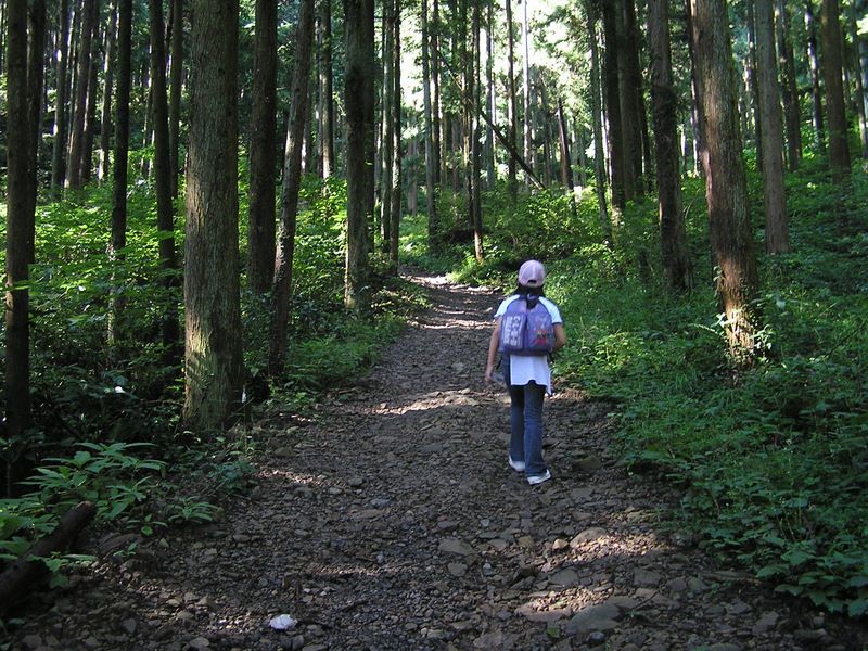 御岳山・日の出山 -- 登り始めはこんな道