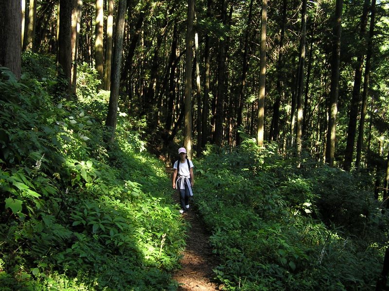 御岳山・日の出山 -- 爽やかな空気の登山道