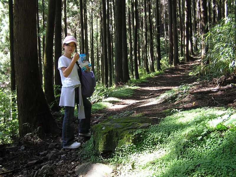 御岳山・日の出山 -- 木々の匂いがいっぱい