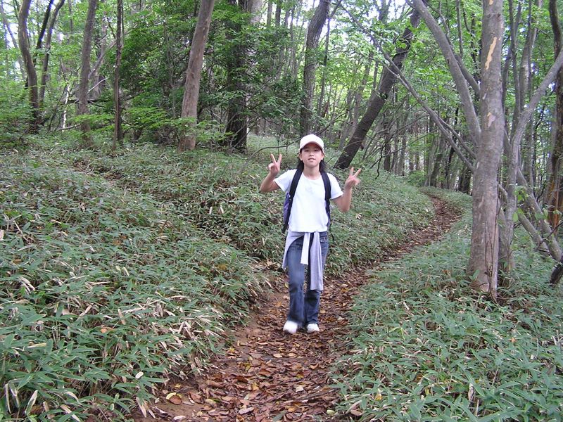 御岳山・日の出山 -- 歩きやすい尾根道