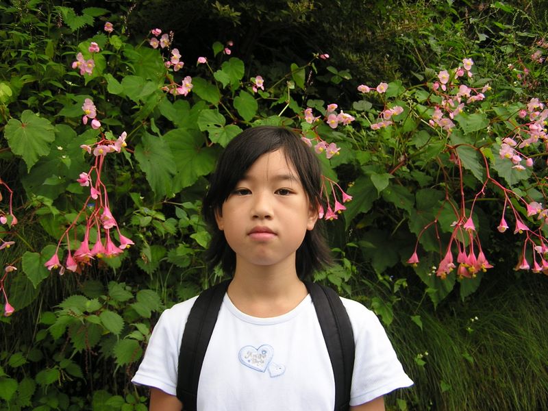 御岳山・日の出山 -- シュウカイドウの花