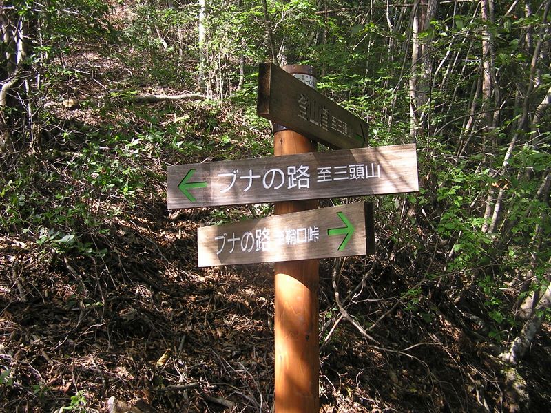 三頭山 -- 道標の模範のような色使い