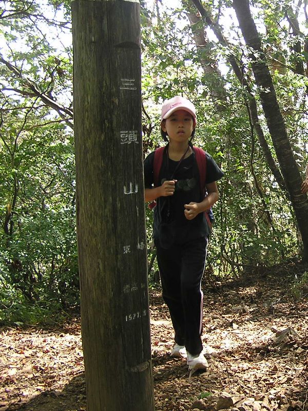 三頭山 -- 東峰に到着
