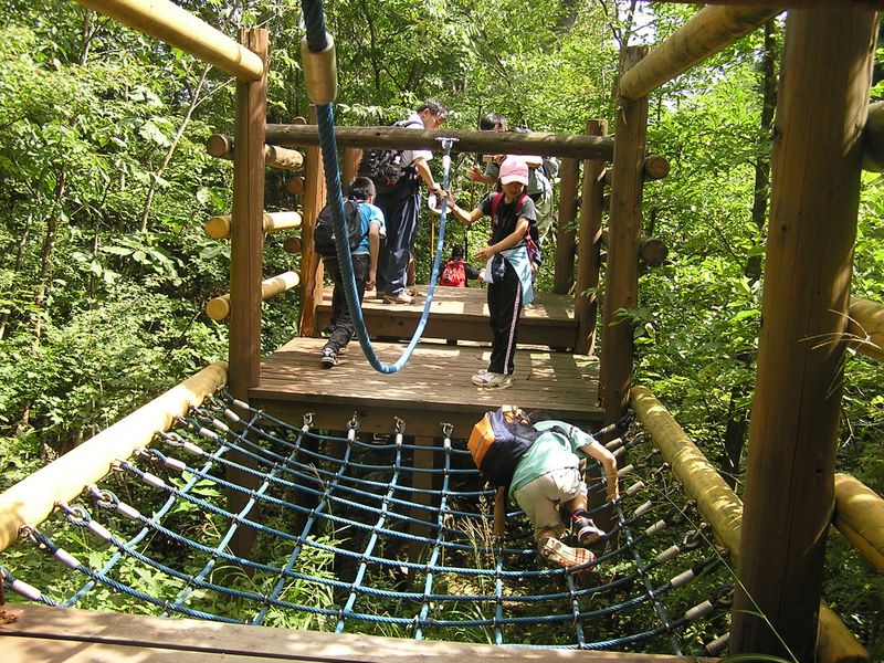 三頭山 -- フィールドアスレチック