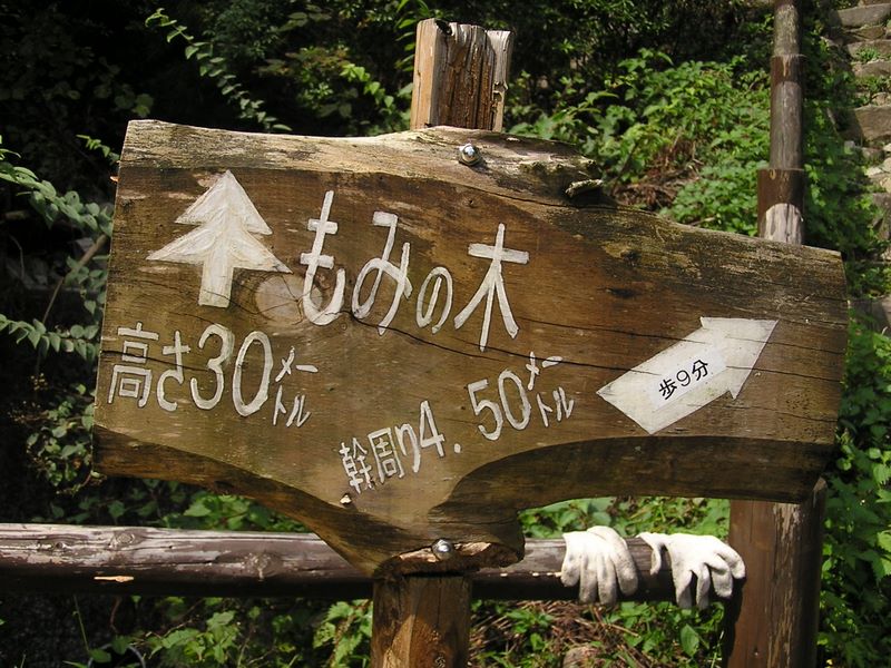 三頭山 -- このようなサイズ