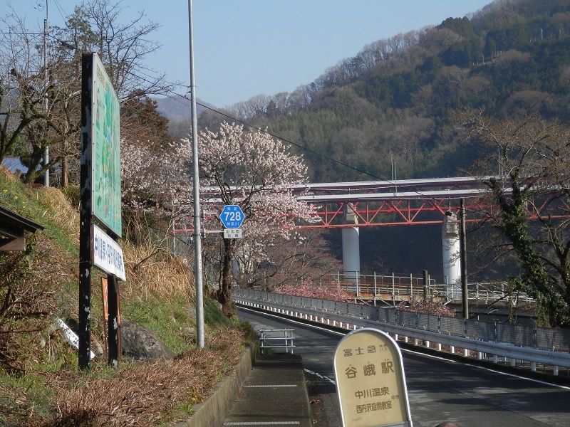 午後には、たくさんの花びらが舞い散っていた谷峨駅バス停付近