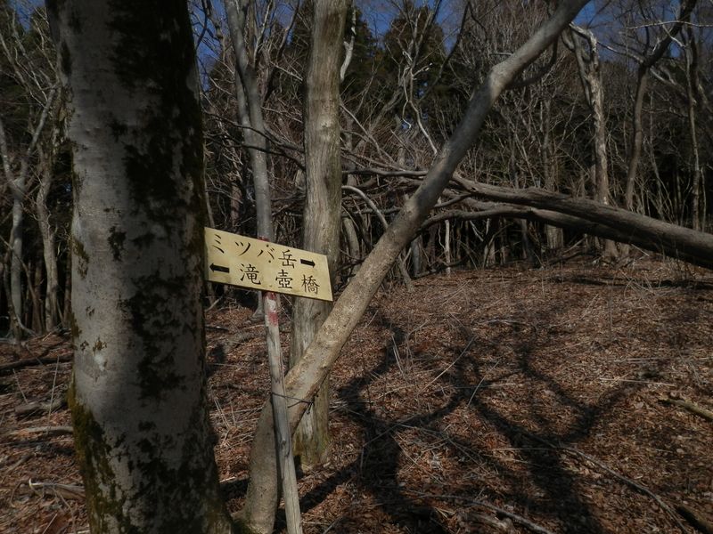 かなり古くから歩かれていた道