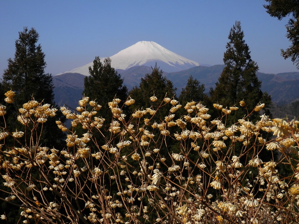 くっきり富士山