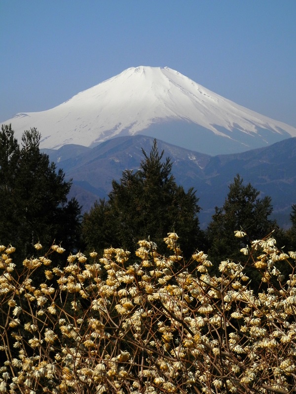 ミツバ岳・権現山 -- 縦位置でも一枚