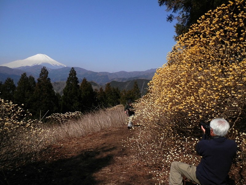 大型カメラと三脚持参の人々がたくさんいた