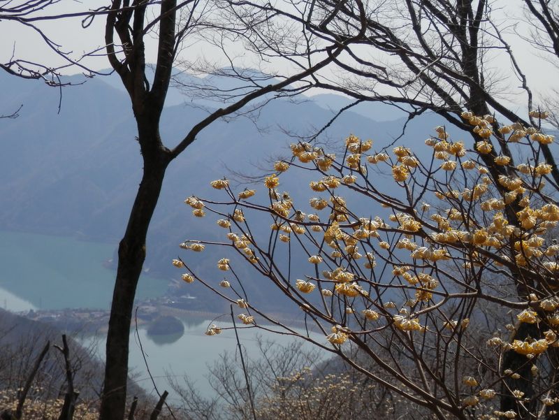 ミツバ岳より、丹沢湖を望む