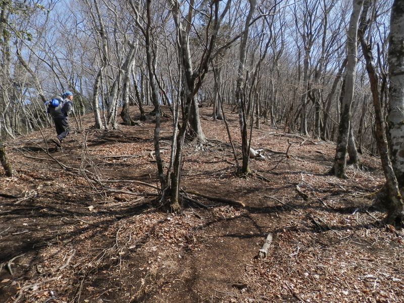 ミツバ岳・権現山 -- このあたり、かなりの急登