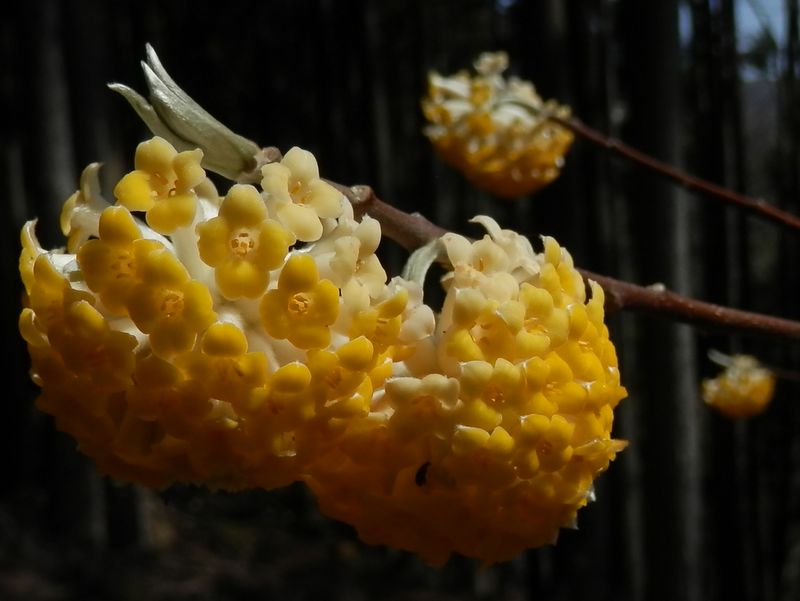 グラデーションがきれい