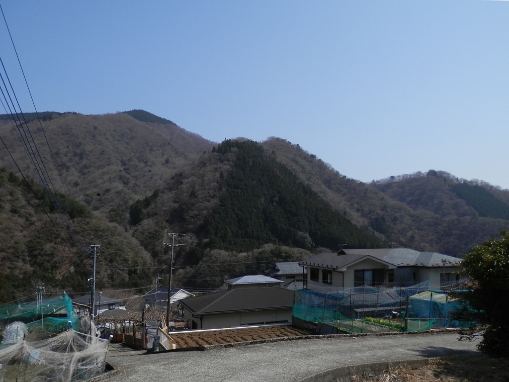 上ノ原より、遠見山と湖上平を望む