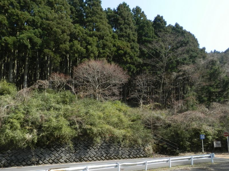 右の石段から湖上平に取り付く