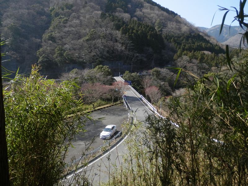 中川橋が見える