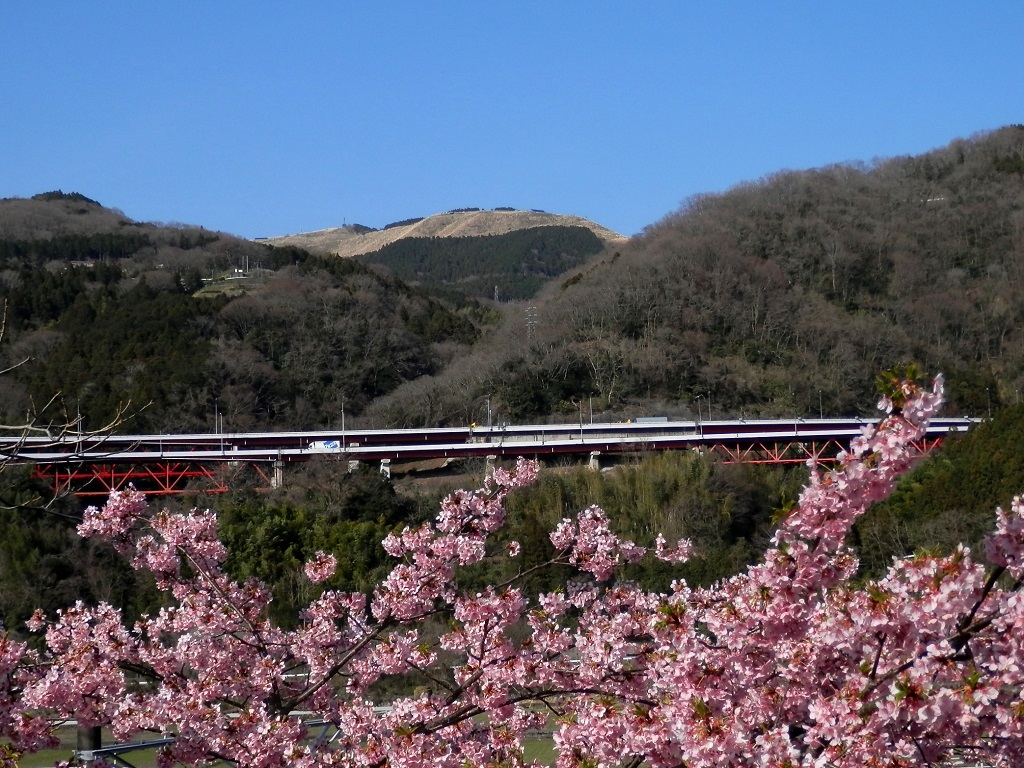 谷峨駅付近より、大野山を望む